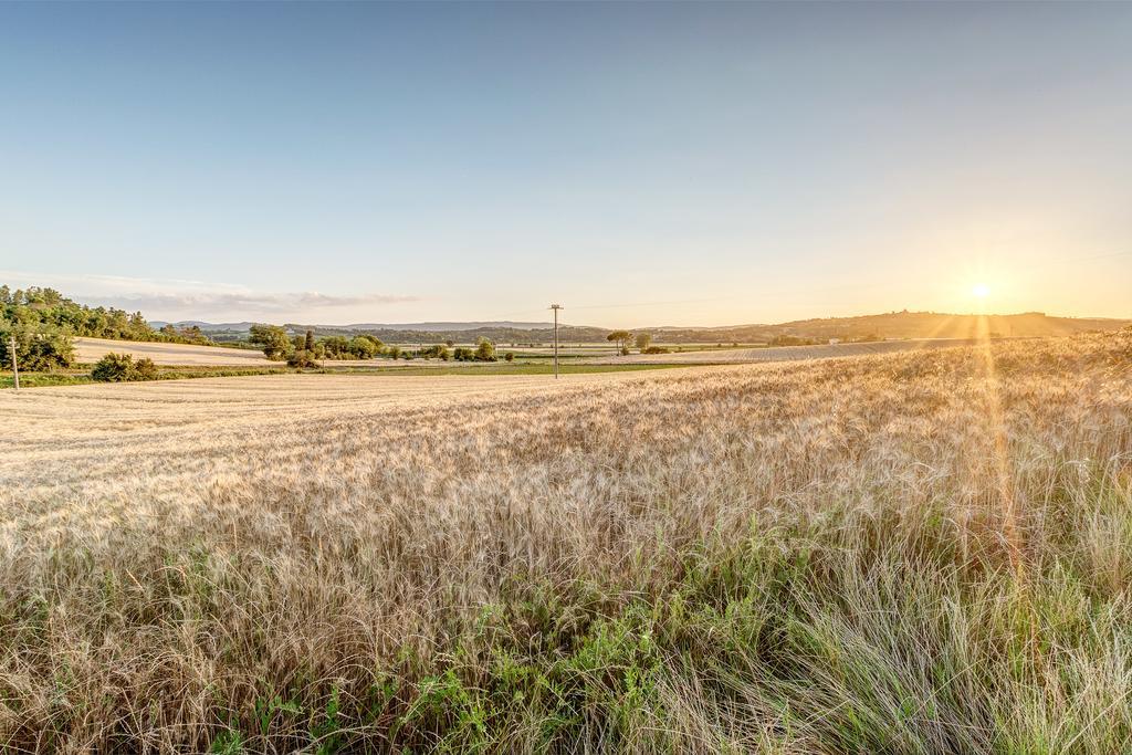 Agriturismo Il Poggiarello Foiano Della Chiana Kültér fotó